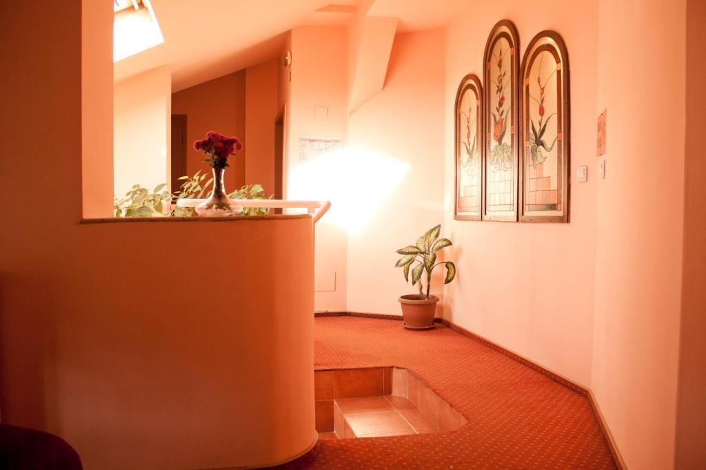 Vlad 3* Timisoara
